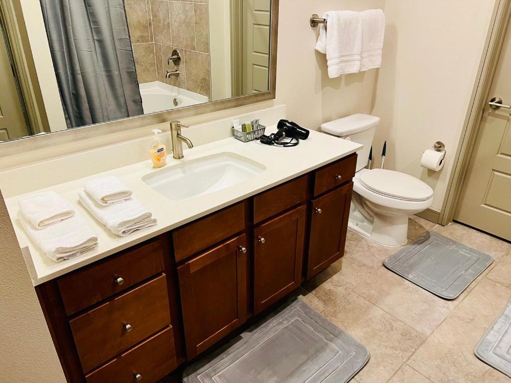 Downtown Apart 1 Bed 1 Bath Free Parking Apartment Houston Ngoại thất bức ảnh